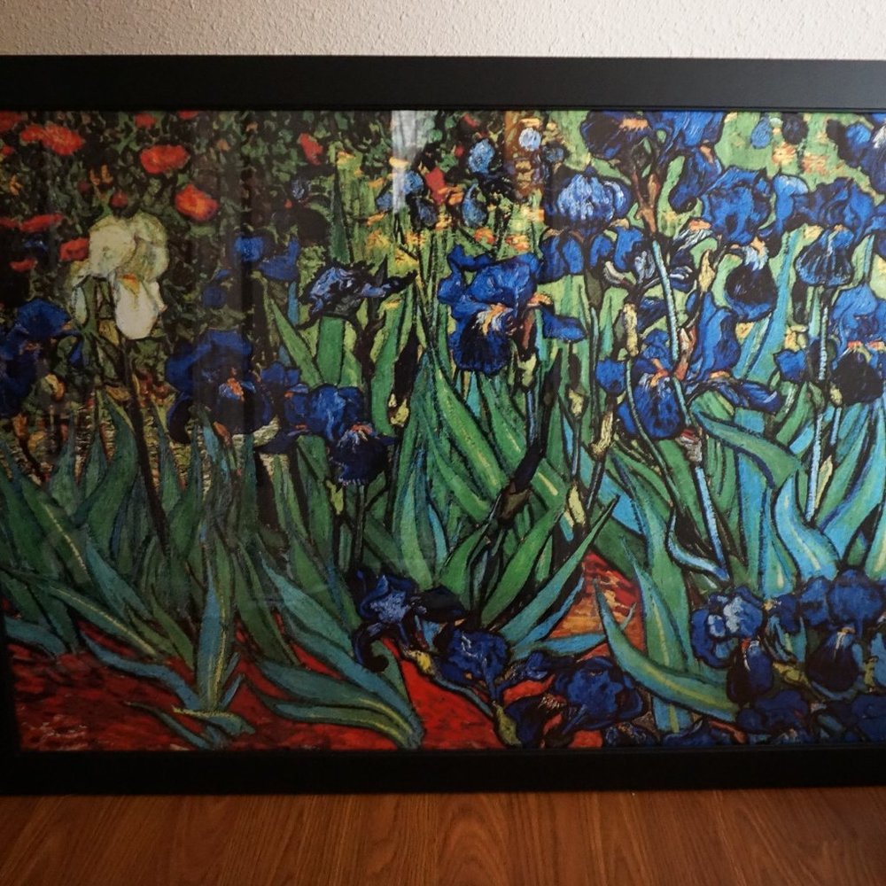 Vincent Van Gogh Irises Print Masterpiece Fine Art Large 24 X 36